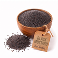 MUSTARD (RAI)